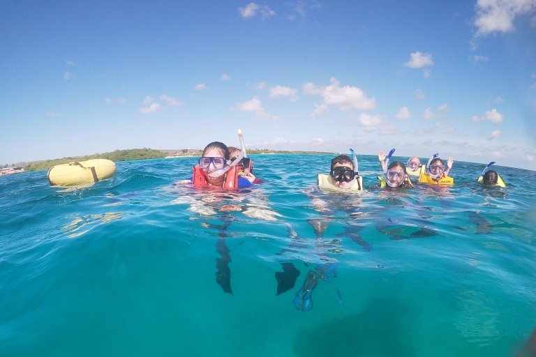 Odkryj Snorkeling Mangel Halto BeachSavaneta: Odkryj lekcję nurkowania na plaży Mangel Halto