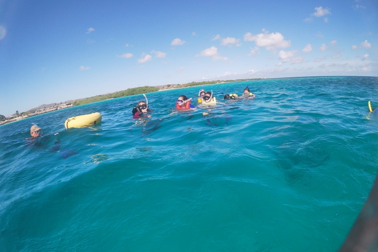 Discover Snorkeling Mangel Halto Beach Savaneta: Discover Snorkeling Lesson at Mangel Halto Beach