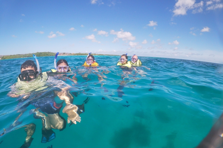 Odkryj Snorkeling Mangel Halto BeachSavaneta: Odkryj lekcję nurkowania na plaży Mangel Halto