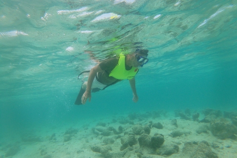 Descubre el snorkel en la playa de Mangel HaltoSavaneta Descubre la Lección de Snorkel en la Playa de Mangel Halto