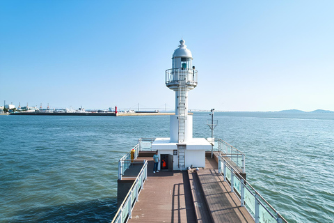 Seoul: Incheon Landing Operation & UN Forces Expert-Led Tour Incheon Landing Operation & UN Forces History (Private Tour)