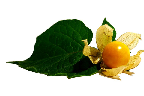 Puno : visite culinaire locale à midi