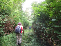 达玛贾加（Damajagua），27个瀑布之旅，带有入场费和午餐 - Housity