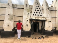Wildlife, Elefanten & Safari Touren in Ghana (Mole Park) - Hizvo