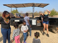 Wildlife, Elefanten & Safari Touren in Ghana (Mole Park) - Hizvo