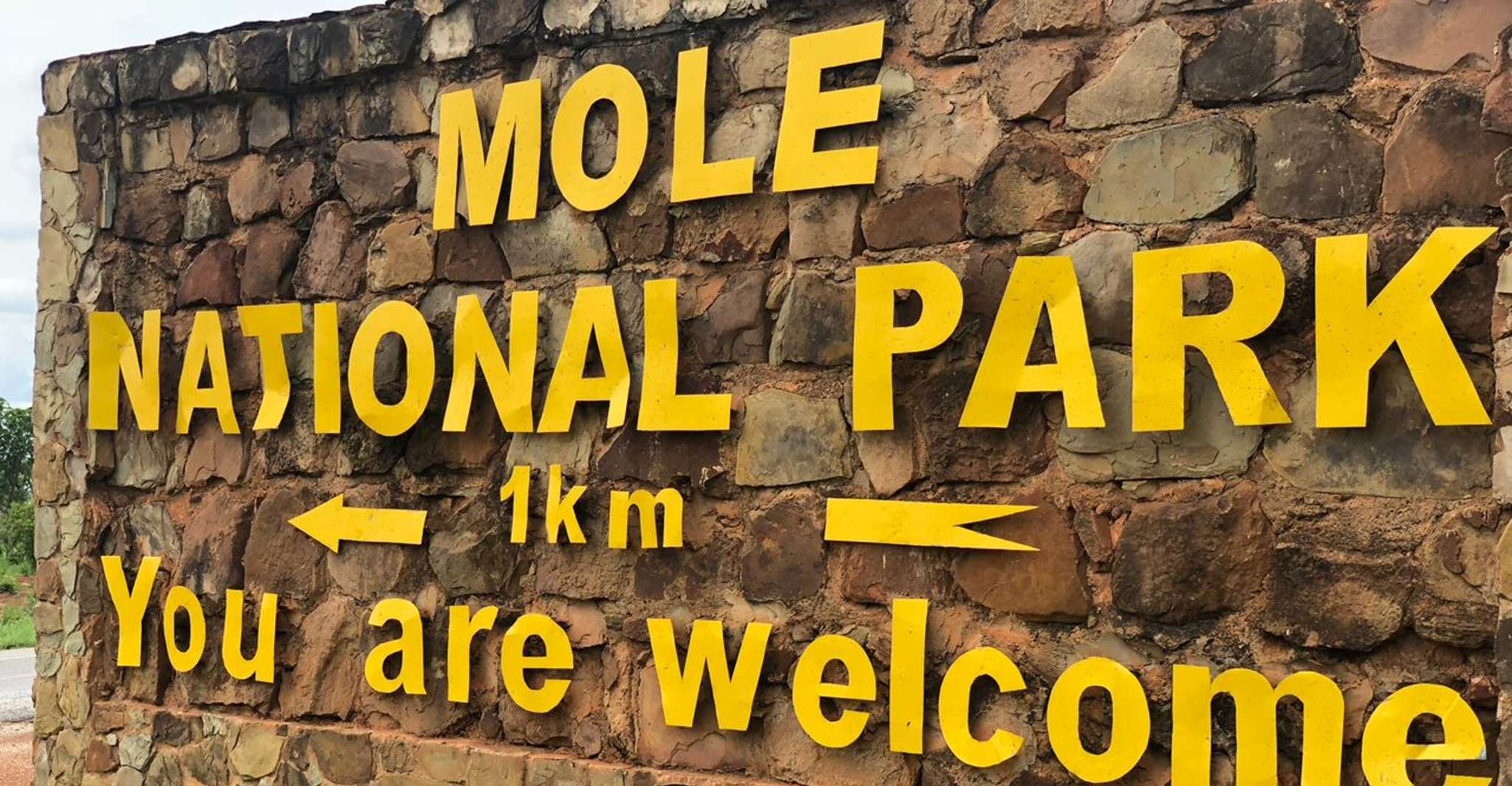 Wildlife, Elephants & Safari Tours in Ghana (Mole Park) - Hizvo