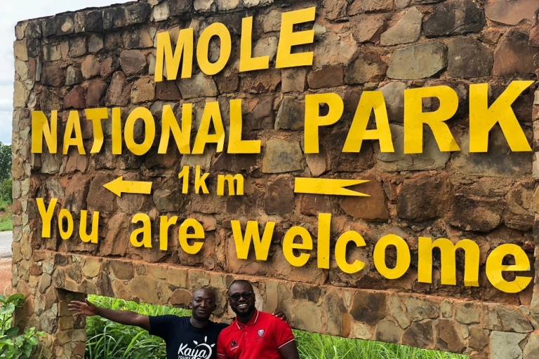 Akra: Tamale i Savannah Tour z Parkiem Narodowym Mole