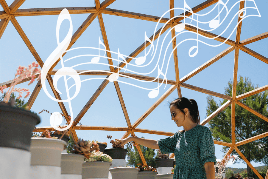 Geführte Tour im BiBo Park: Ibizas Biotech-Botanischer Garten. Foto: GetYourGuide Geführte Tour im BiBo Park: Ibizas Biotech-Botanischer Garten. Foto: GetYourGuide