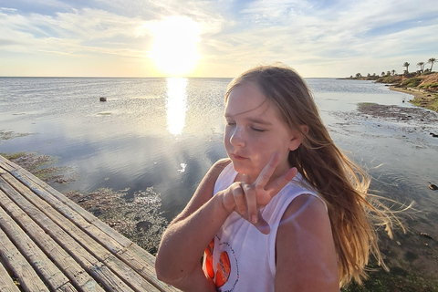 Authentic Djerba: Underground Oil Mill, Palm Grove, Pottery & Mosque