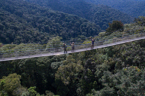 Safari de 3 días por el Parque Nacional de Nyungwe