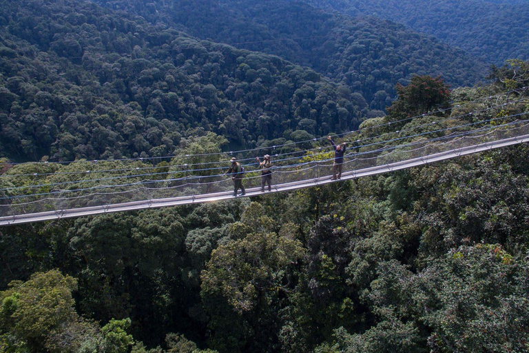 3-dagars safari i Nyungwe nationalpark