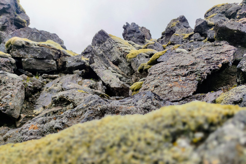 Van Reykjavik: privétour Landmannalaugar met transfer