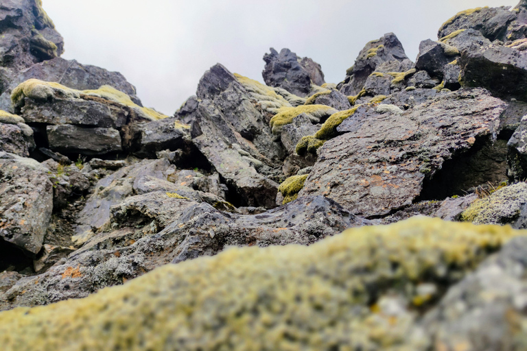 Van Reykjavik: privétour Landmannalaugar met transfer