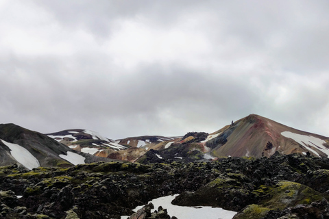 Van Reykjavik: privétour Landmannalaugar met transfer