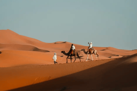 Da Marrakech: Magico tour del deserto di 3 giorni a Fes attraverso il SaharaTour privato