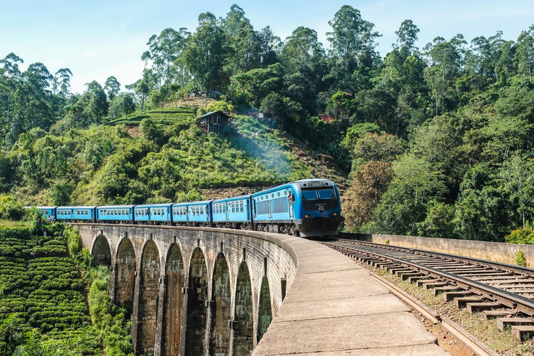 Depuis Galle/Hikkaduwa/Mirissa Excursion d'une journée pour découvrir Ella