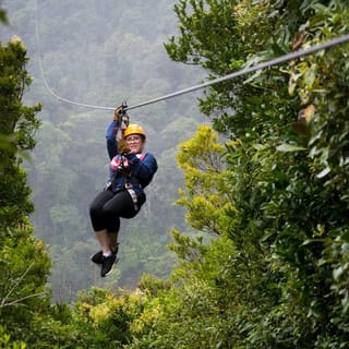 Montevede: Jungle Zipline & Rappel Experience with Transfer