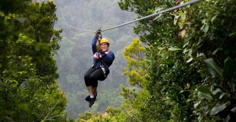 Monteverde: Jungle Zipline & Tarzan Swing with Transfer