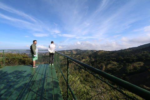 Monteverde: Zipline w dżungli i Tarzan Swing z transferemMontevede: Zipline w dżungli i huśtawka Tarzan z transferem