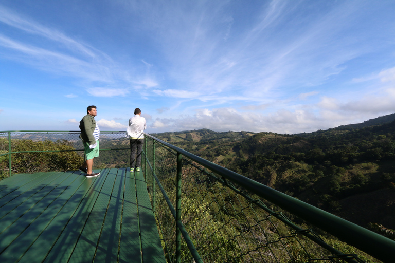 Monteverde: Zipline w dżungli i Tarzan Swing z transferemMontevede: Zipline w dżungli i huśtawka Tarzan z transferem