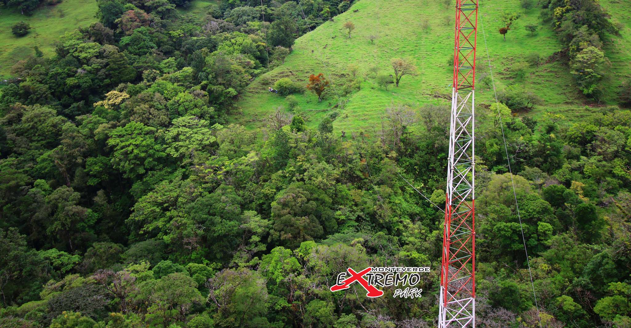 Monteverde, Jungle Zipline & Tarzan Swing with Transfer - Housity