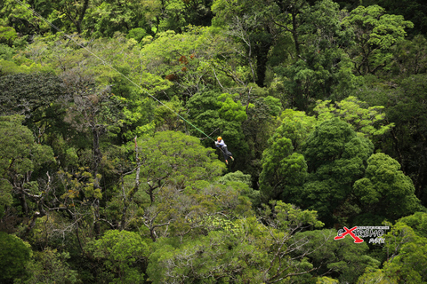 Monteverde: Zipline w dżungli i Tarzan Swing z transferemMontevede: Zipline w dżungli i huśtawka Tarzan z transferem