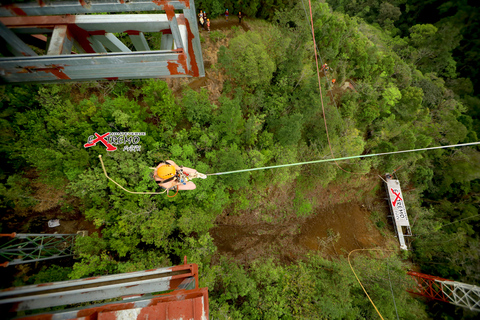 Monteverde: Zipline w dżungli i Tarzan Swing z transferemMontevede: Zipline w dżungli i huśtawka Tarzan z transferem