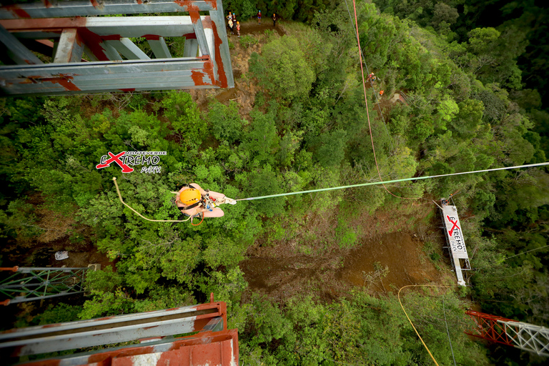 Monteverde: Zipline w dżungli i Tarzan Swing z transferemMontevede: Zipline w dżungli i huśtawka Tarzan z transferem