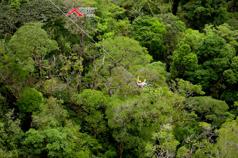 Monteverde: Zipline w dżungli i Tarzan Swing z transferemMontevede: Zipline w dżungli i huśtawka Tarzan z transferem