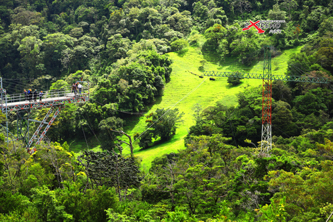 Monteverde: Zipline w dżungli i Tarzan Swing z transferemMontevede: Zipline w dżungli i huśtawka Tarzan z transferem