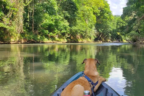 La Fortuna: *TOP* Wildlife Safari Experience by Kayak