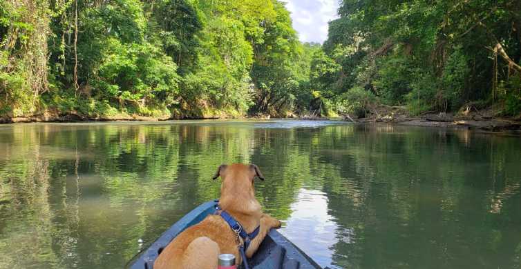 Top Nature Experiences in Costa Rica