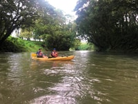 La Fortuna, * Top * Wildlife Safari Experience de Kayak - Housity