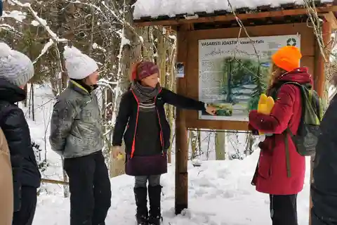 Da Tallinn: Escursione alle 3 cascate del Parco Nazionale di Lahemaa