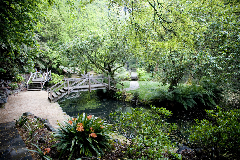 Recorridos por el Dandenong Ranges y William Ricketts Sanctuary