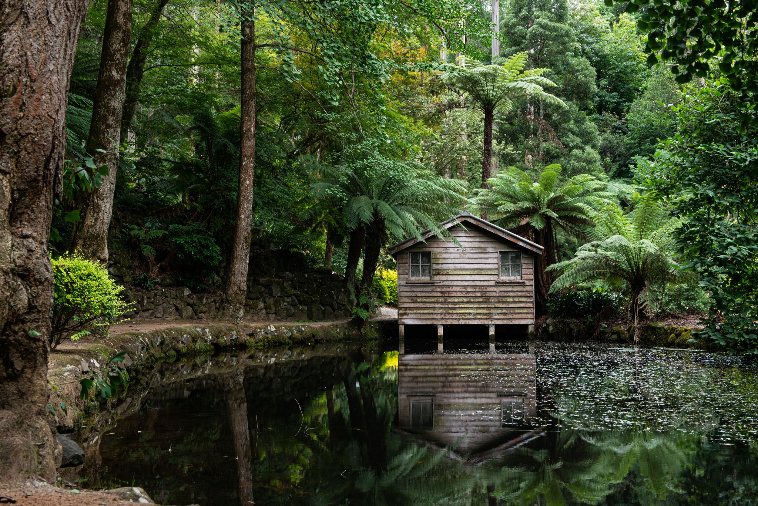 Von Melbourne: Private Tagestour zu den Dandenong Ranges