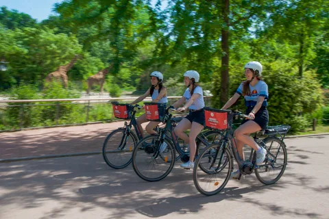 Lyon: The Great ebike Tour