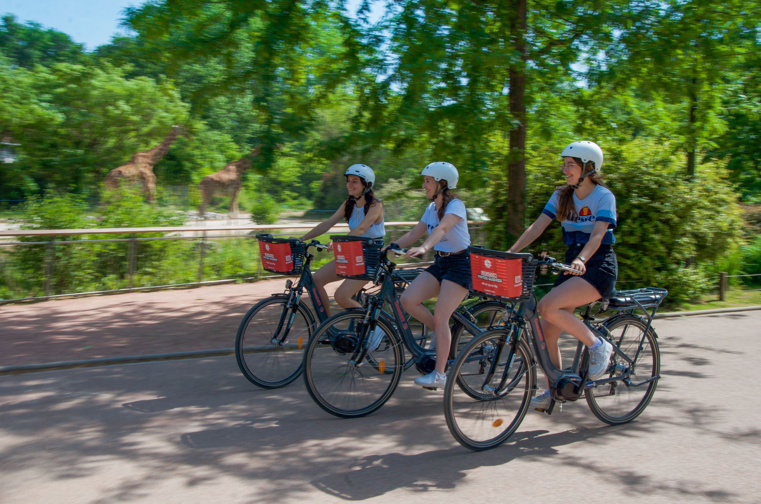 3-stündige geführte Elektrofahrrad-Tour durch Lyon