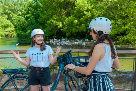 Lyon : visite guidée en vélo électrique avec la Saône et le Vieux Lyon