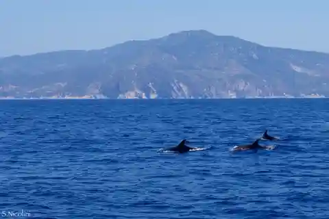 Da Porto Ercole: gita in barca per lo snorkeling all'isola di Giannutri