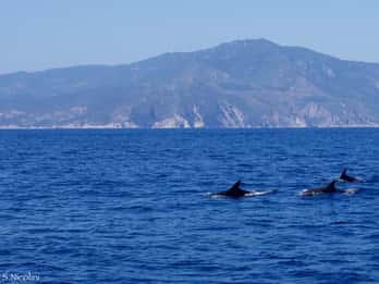 Au départ de Porto Ercole : excursion en bateau de snorkeling sur l'île de Giannutri