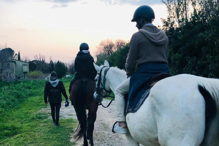 Certosa di Calci: Horseback Riding Experience for Beginners in Nature Horseback ride with aperitif