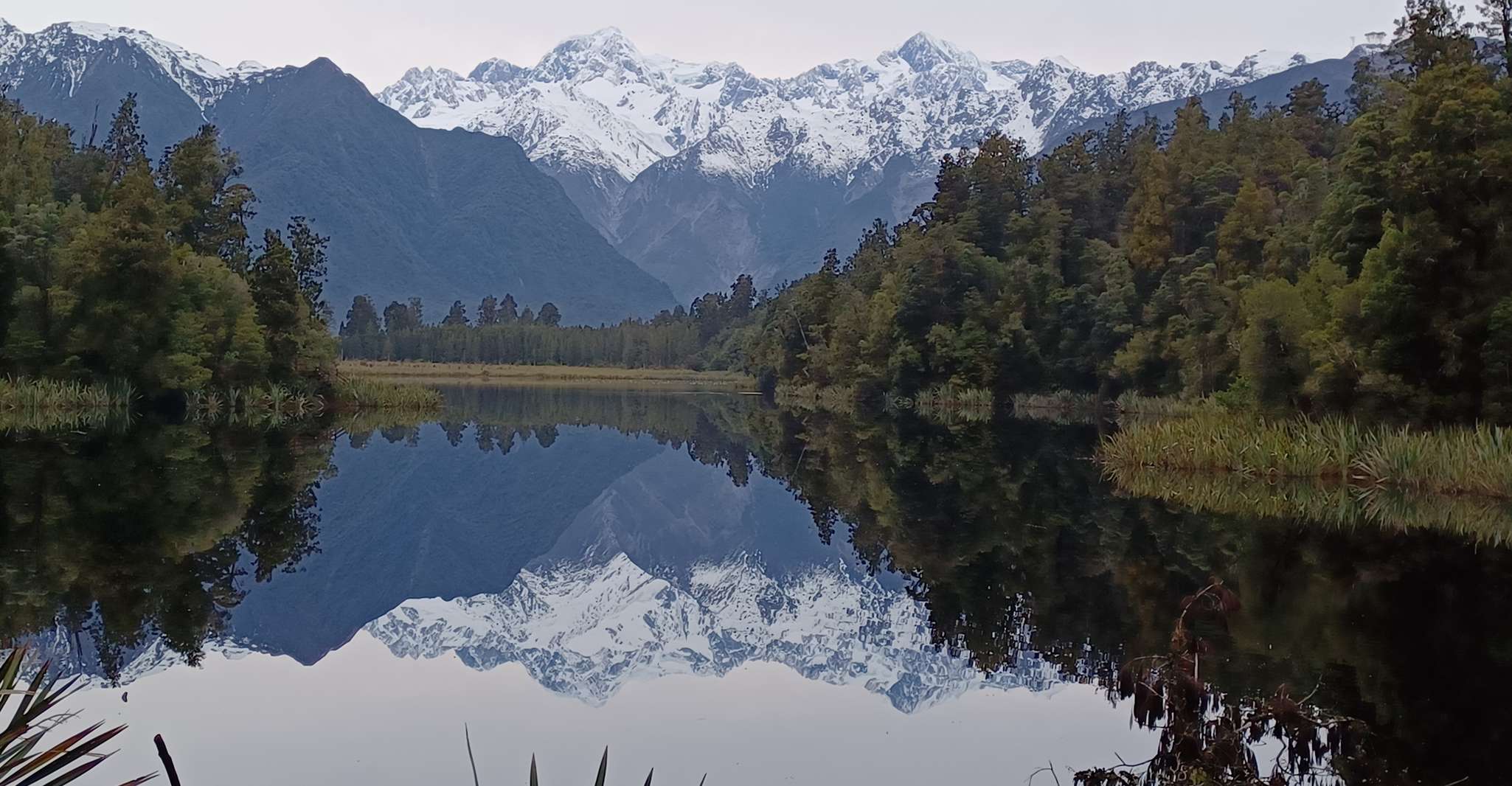 Franz Josef, Half-Day Nature Tour to Lake Matheson - Housity