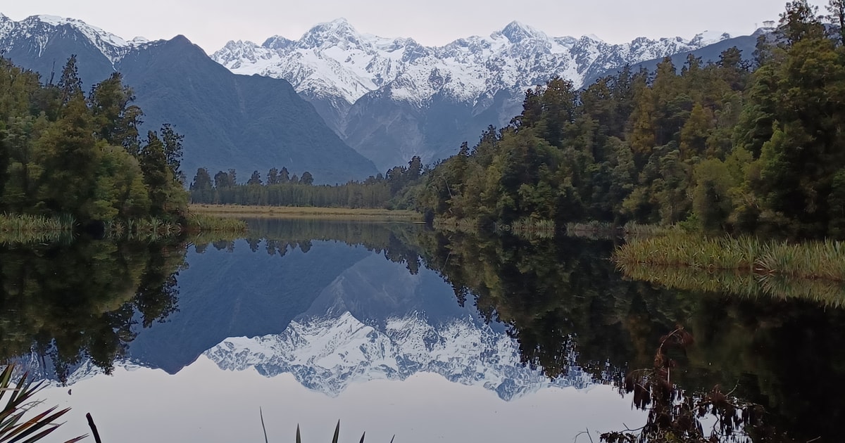 Franz Josef HalfDay Nature Tour to Lake Matheson GetYourGuide