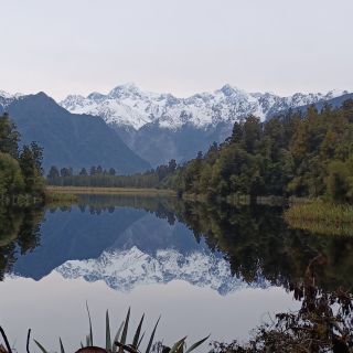 Franz Josef: Półdniowa wycieczka przyrodnicza do jeziora Matheson