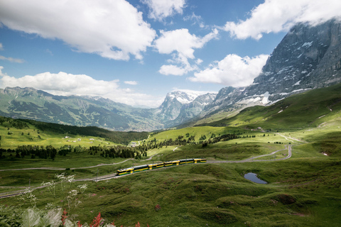 Vanuit Luzern: Dagtrip van de Eiger naar Kleine Scheidegg