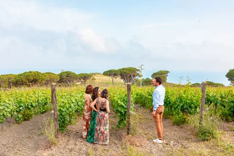 Toscane : Visite de dégustation de vins et de fromages de la Ripalte Design Winery