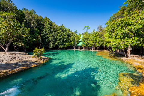 Krabi: viagem de meio dia à piscina esmeralda e cachoeira de fontes termais