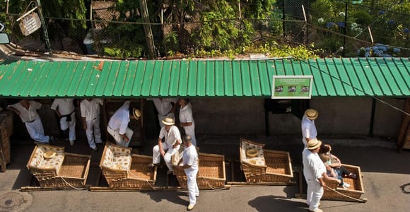 Private tour: Tuk Tuk Ride to Monte Funchal Toboggans