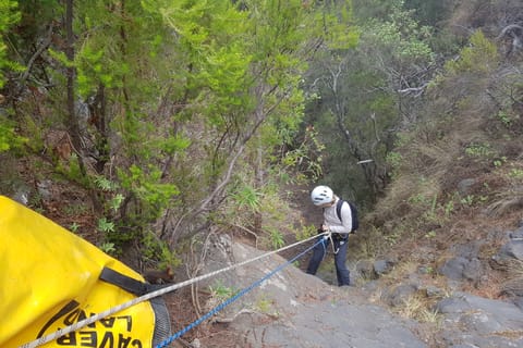 Tenerife: Barranco de Chimoche Canyoning Adventure